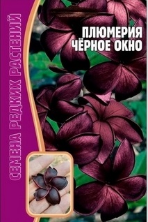 Черное окно