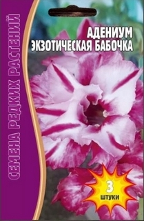 full_adenium-ekz-babochka