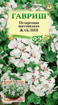 Пеларгония Жаклин