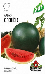 Арбуз Огонек ХИТ