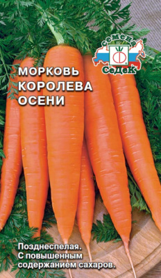 morkov_koroleva_oseni