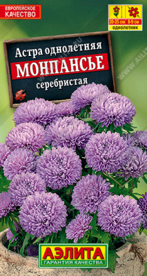 Астра монпансье серебристая