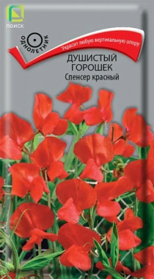 Душистый горошек Спенсер Красный