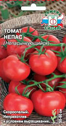 tomat_nepas_nepasynkuyushchiysya