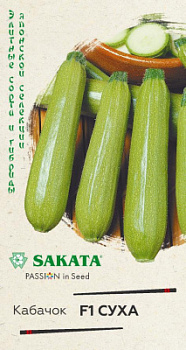Кабачок Суха
