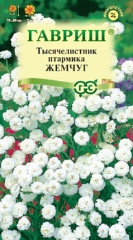 Тысячелистник птармика Жемчуг
