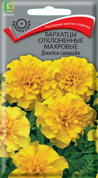 barhatsy_otklon_mahrov_dzhipsi_sunshine