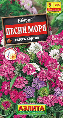 Иберис Песни моря
