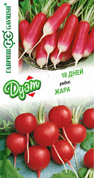 Редис 18 дней +Жара
