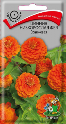 Цинния низкорослая Фея Оранжевая