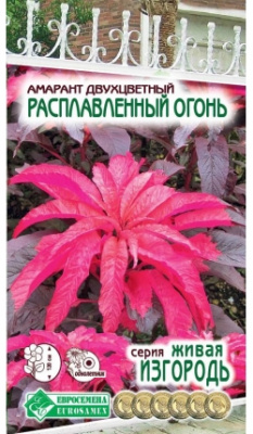 Амарант расплавленный огонь