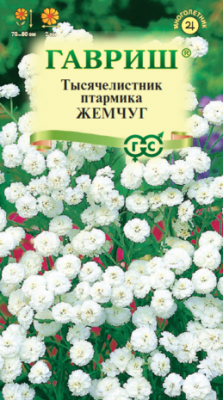 Тысячелистник птармика Жемчуг