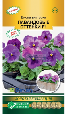 Виола Лавандовые Оттенки