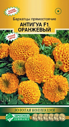 Бархатцы прямостоячие Антигуа оранжевый