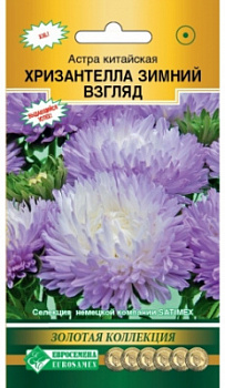 Астра Зимний взгляд
