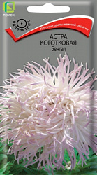 astra_kogotkovaya_bengal