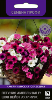 petunia_ampel_f1_shock_wave_power_mix
