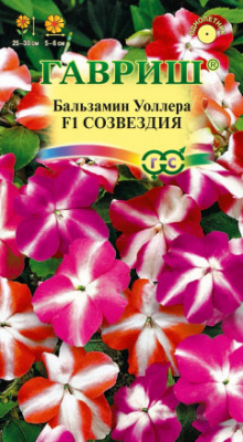 Созвездия