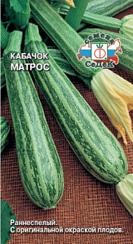 kabachok_matros