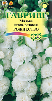 Мальва рождество