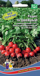 redis-16-dnevnyy