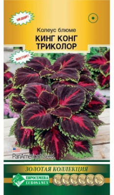 Колеус Кинг Конг