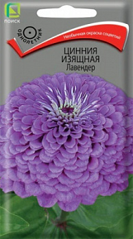 Цинния изящная Лавендер