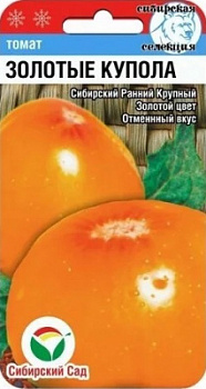 Золотые купола