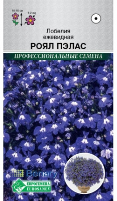 Лобелия Роял Пэлас