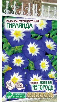 Вьюнок Гирлянда