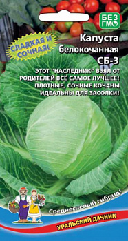kapusta-belokochannaya-sb-3-f1-new