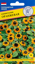 Санвиталия оранжевая