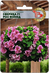 Петуния Сферика роз вейнед