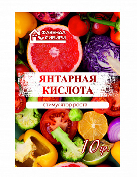 Янтарная 10