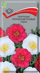 portulak_krupnocvet_spartak