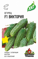 Огурец Виктория