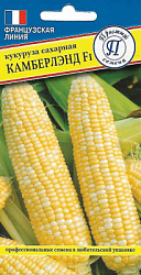 Кукуруза Камберлэнд