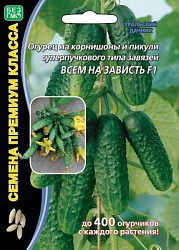 ogurec-na-kornishon-i-pikuli-superpuchkovogo-tipa-zavyazey-vsem-na-zavist-f1