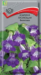 Азарина лазающая Фиолетовая