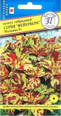 Мозаика