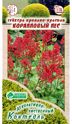 Гейхера кроваво-красная Коралловый Лес