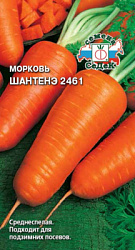 morkov_shantene_2461