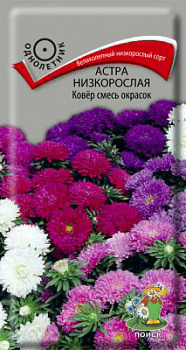 Астра низкорослая Ковёр смесь окрасок