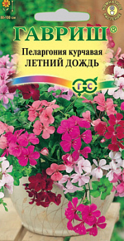 Летний дождь