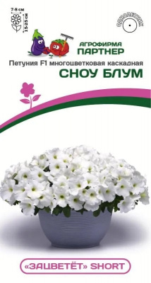 Петуния зацветет сноу блум