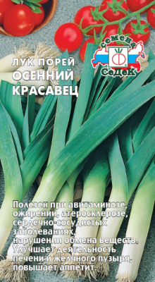 luk_osenniy_krasavets_porey