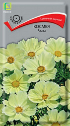 kosmeya_zlata