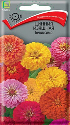 Цинния георгиноцветковая Белиссимо