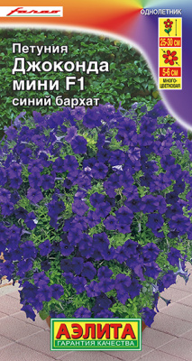 Петуния Джоконда мини F1 синий бархат_ЦП