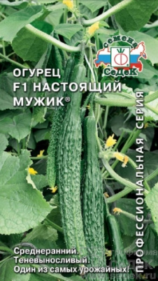 00000006182_1